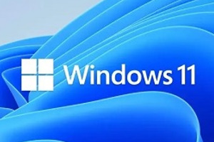 Win11无法打开微软商店怎么办-Win11无法打开微软商店解决方法