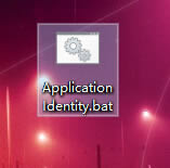 Win10 application identity拒绝访问怎么办