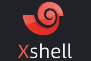 Xshell怎么设置中文-Xshell设置中文操作步骤