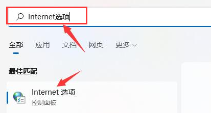 Windows11浏览器没有网怎么办