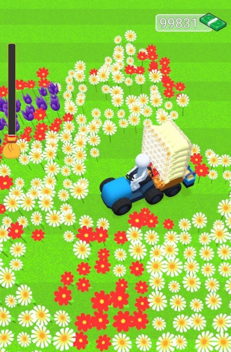 花卉农夫游戏截图-1