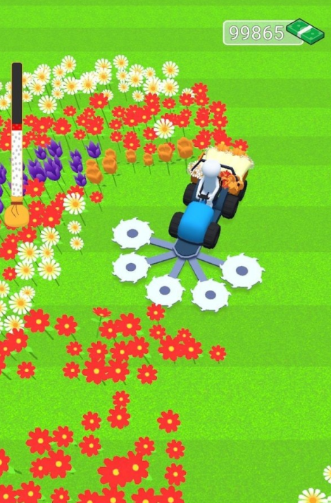 花卉农夫游戏截图-3