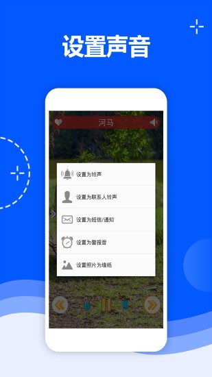 可爱动物和声音应用截图-3