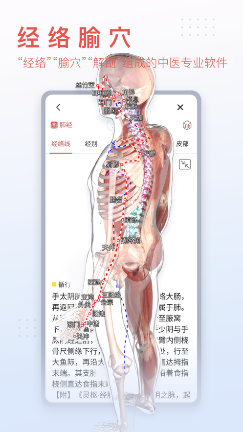 3Dbody解剖应用截图-2