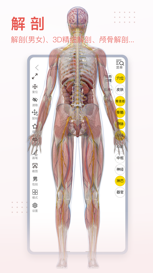 3Dbody解剖应用截图-3