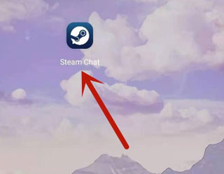 Steam中文版app下载