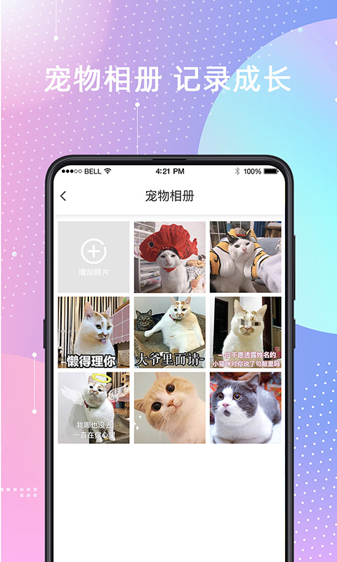 宠物猫狗交流应用截图-3