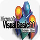 Visual Basic