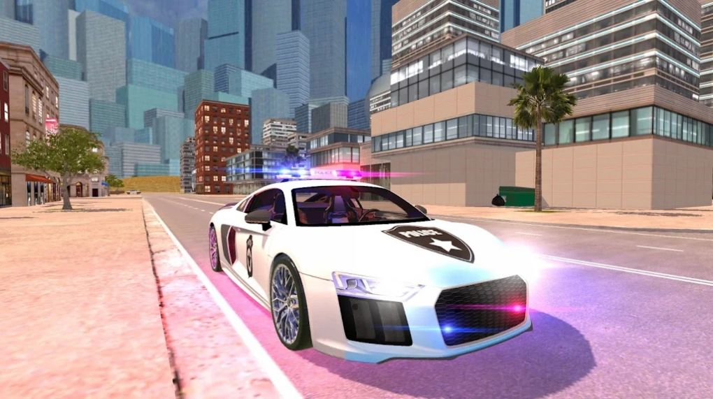 R8 Police Car Driving(R8警察模拟器手机汉化版)游戏截图-3