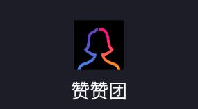 赞赞团专业版app