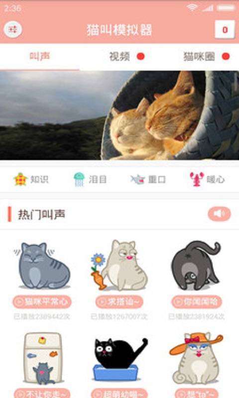 猫叫仿生器应用截图-2