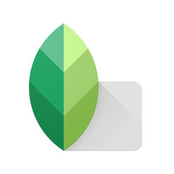 snapseed官方正版v2.20.0.529184797 官方版