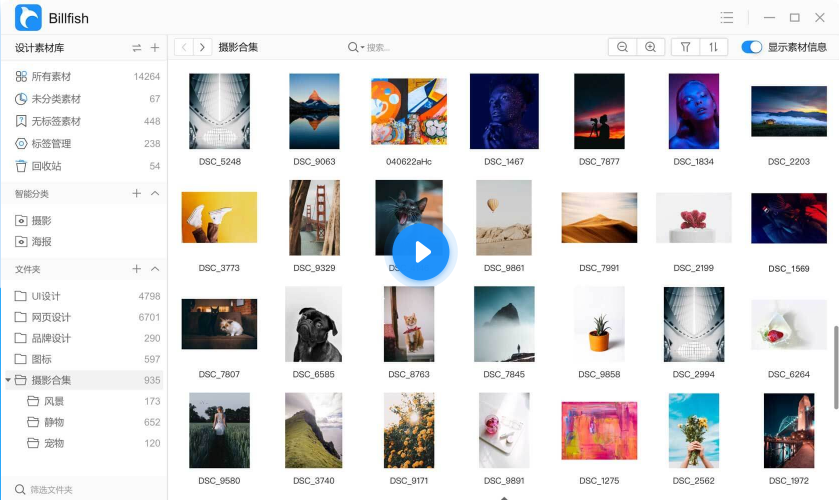 Billfish素材管家软件截图-1