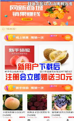 网新商城下载