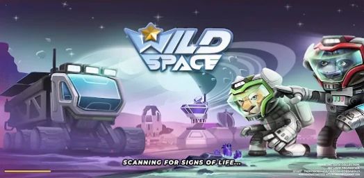 狂野宇宙(Wild Space)游戏截图-1