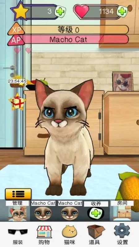 Cat Simulator(顽皮猫模拟器)游戏截图-4