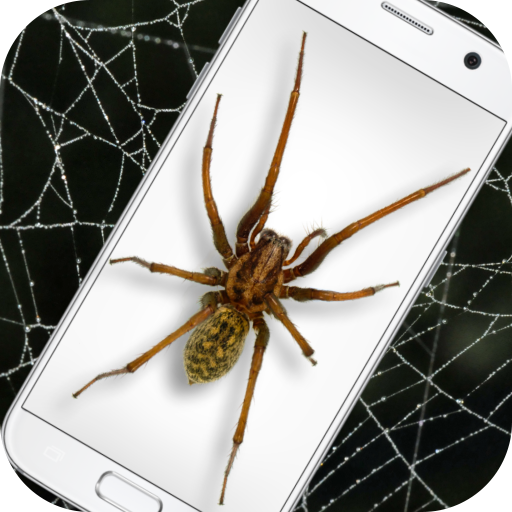 蜘蛛屏幕模拟app