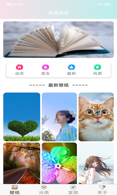 壁纸主题大全app(壁纸精选)应用截图-5