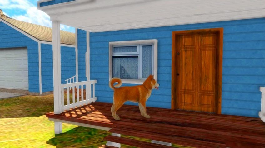 Akita Dog Simulator(秋田犬模拟器)游戏截图-3