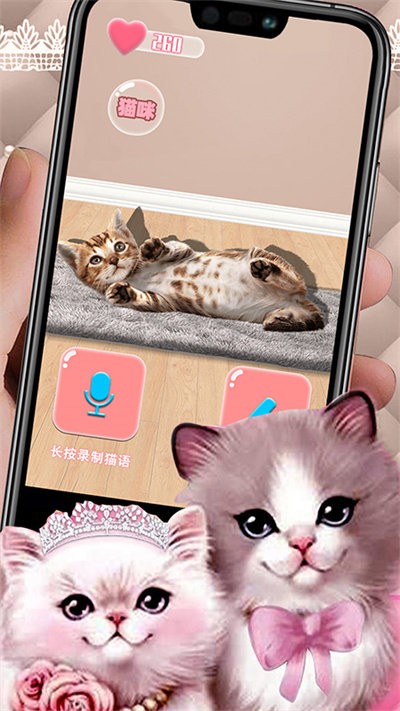 猫猫语言转换器app应用截图-3