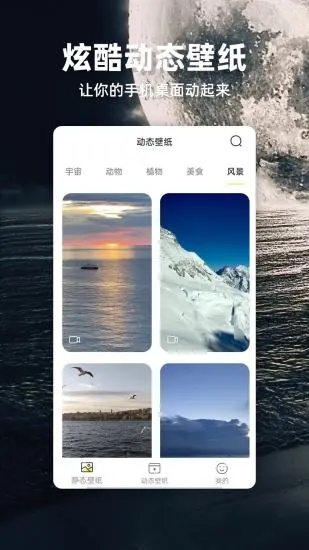 苹果壁纸app下载应用截图-3