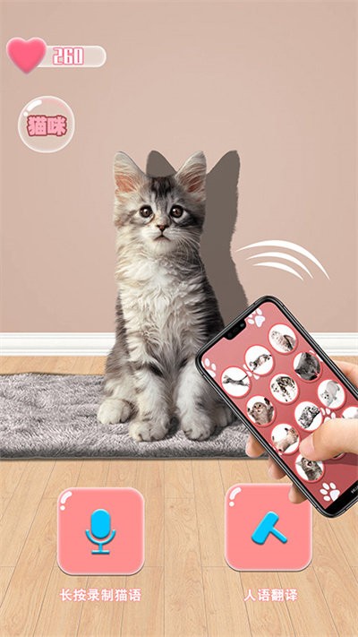 猫猫语言转换器app应用截图-1