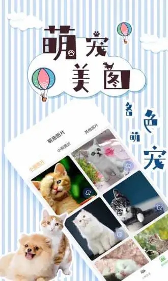 人猫翻译交流器应用截图-4