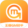 王者GM助手appv8.3.5 最新版