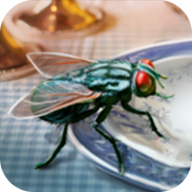 模拟苍蝇生存v1.0.0 安卓版