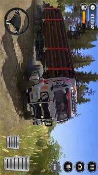 卡车货车登山模拟游戏截图-4