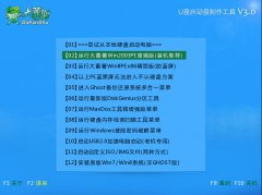 大番薯u盘启动winpm7.0分区管理工具使用教程