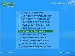 大番薯u盘启动hdat2硬盘检测工具使用教程