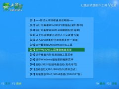 大番薯pq分区管理大师删除分区使用教程